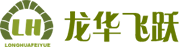 龙华飞跃