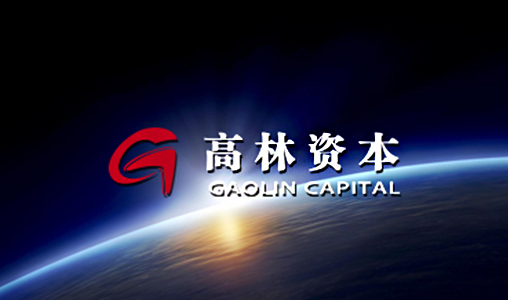 网巢科技与高林资本合作官网建设项目